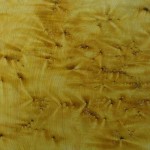 Graining Samples